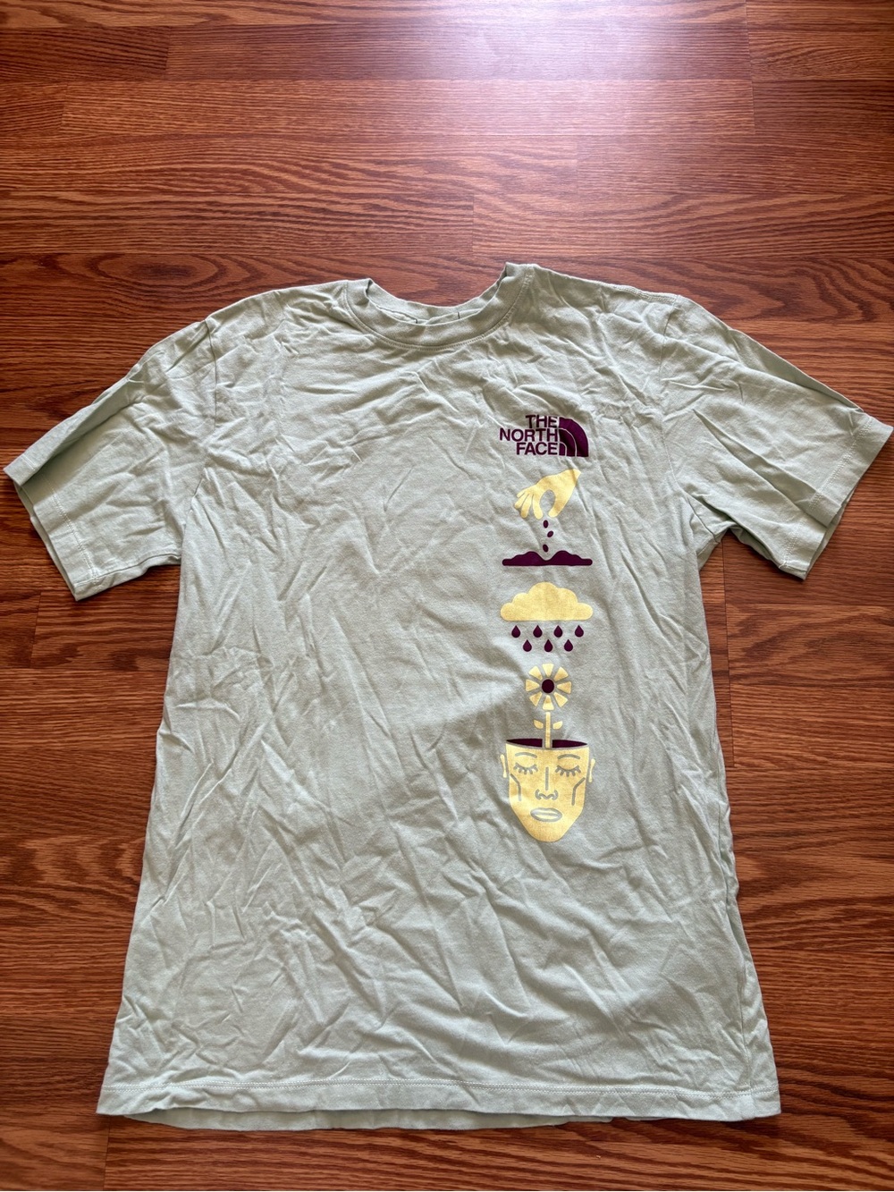 The North Face women’s Sage Green Graphic Short-Sleeve Tee